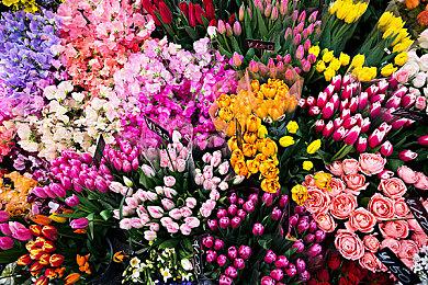 《流放之路2》已是Steam史上第15大热门游戏