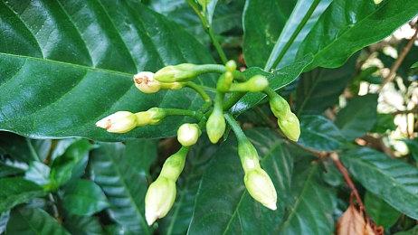 《游戏王 早期合集》公布3款追加游戏 2024年发售